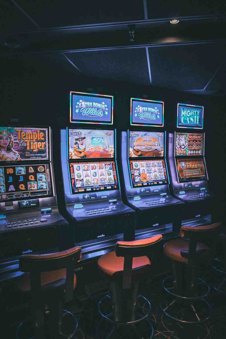 haz casino app